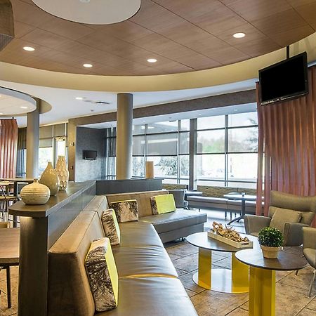 Springhill Suites Tampa North/Tampa Palms Luaran gambar