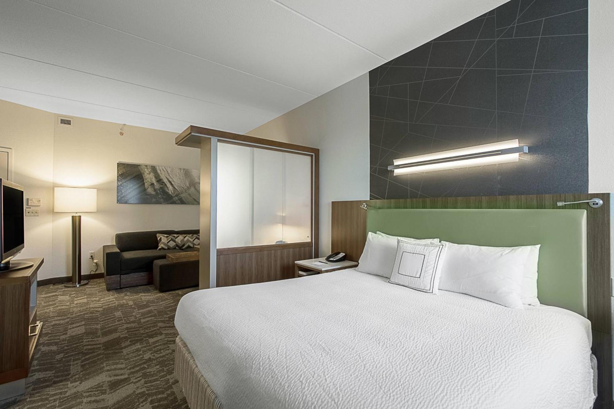 Springhill Suites Tampa North/Tampa Palms Luaran gambar