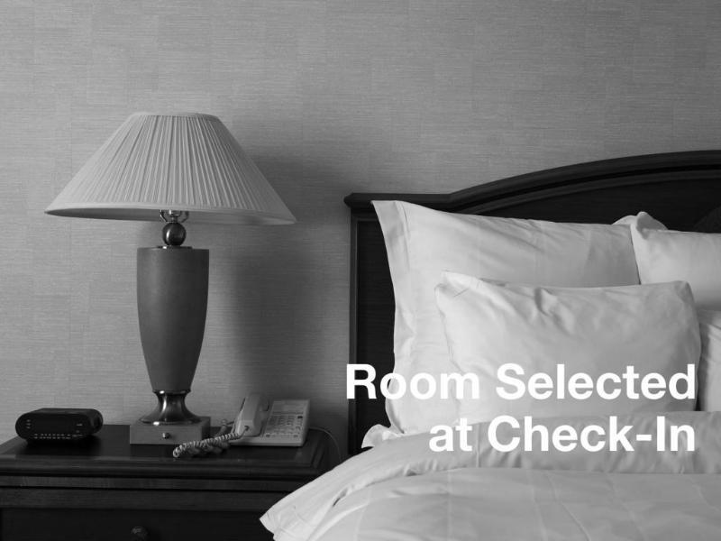 Springhill Suites Tampa North/Tampa Palms Luaran gambar